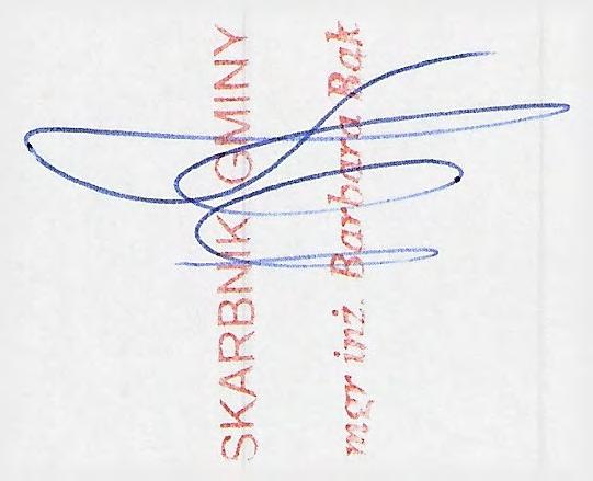 wych 3 00 3 00 3 00 6060 na zakupy jedn.budżet.