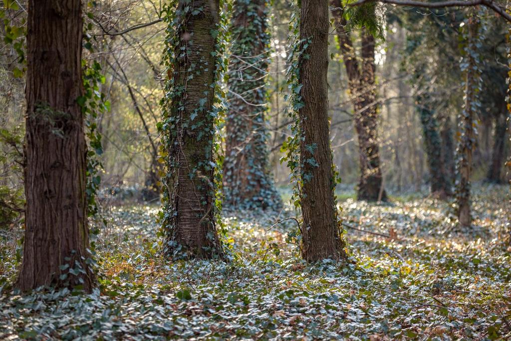 Park Grabiszyński czas na nowe!