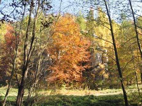 Dolina Brzoskwinki Trasa dla ciebie Krzeszowice Tenczynek 2,2 km zamek Tenczyn (Tęczyn) 5,5 km Droga Krakowska 8,8 km kamieniołom Niedźwiedzia Góra 12,1 km Czerwieniec 12,6 km Kopalnia Krystyna II