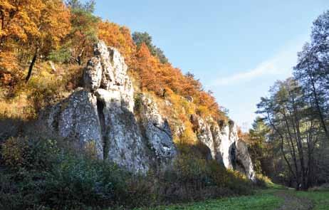 Dolina Mnikowska Rzeźba terenu Pod względem geomorfologicznym większość terenu Parku położona jest na Garbie Tenczyńskim wyniesionej formie tektonicznej. Na północy graniczy on z Rowem Krzeszowickim.