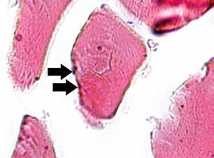 A B C D Fig. 8.