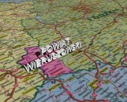 WSTĘP Przedkładam ocenę stanu bezpieczeństwa sanitarnego i sytuacji epidemiologicznej w powiecie wieruszowskim w 217 roku.