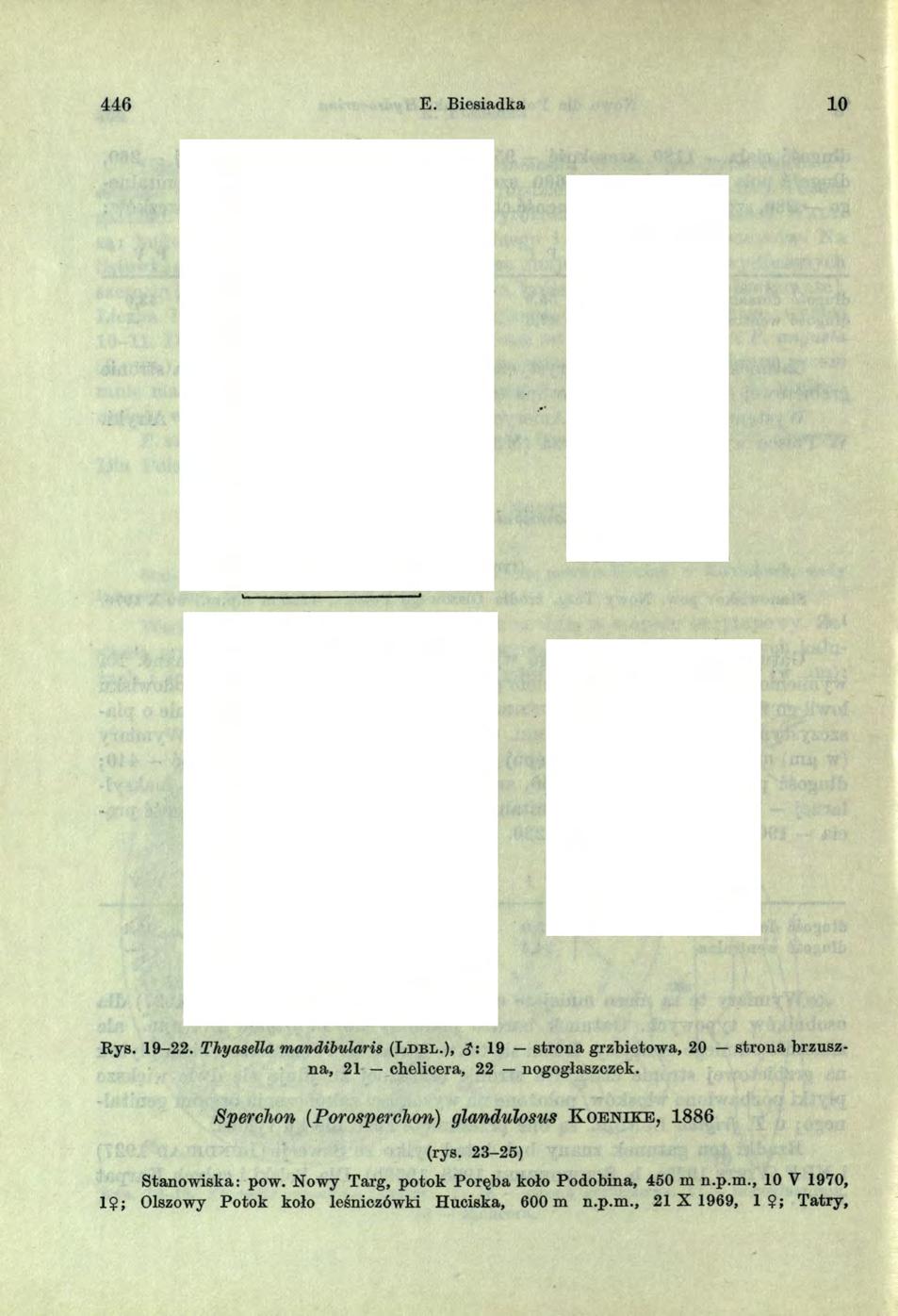 446 E.