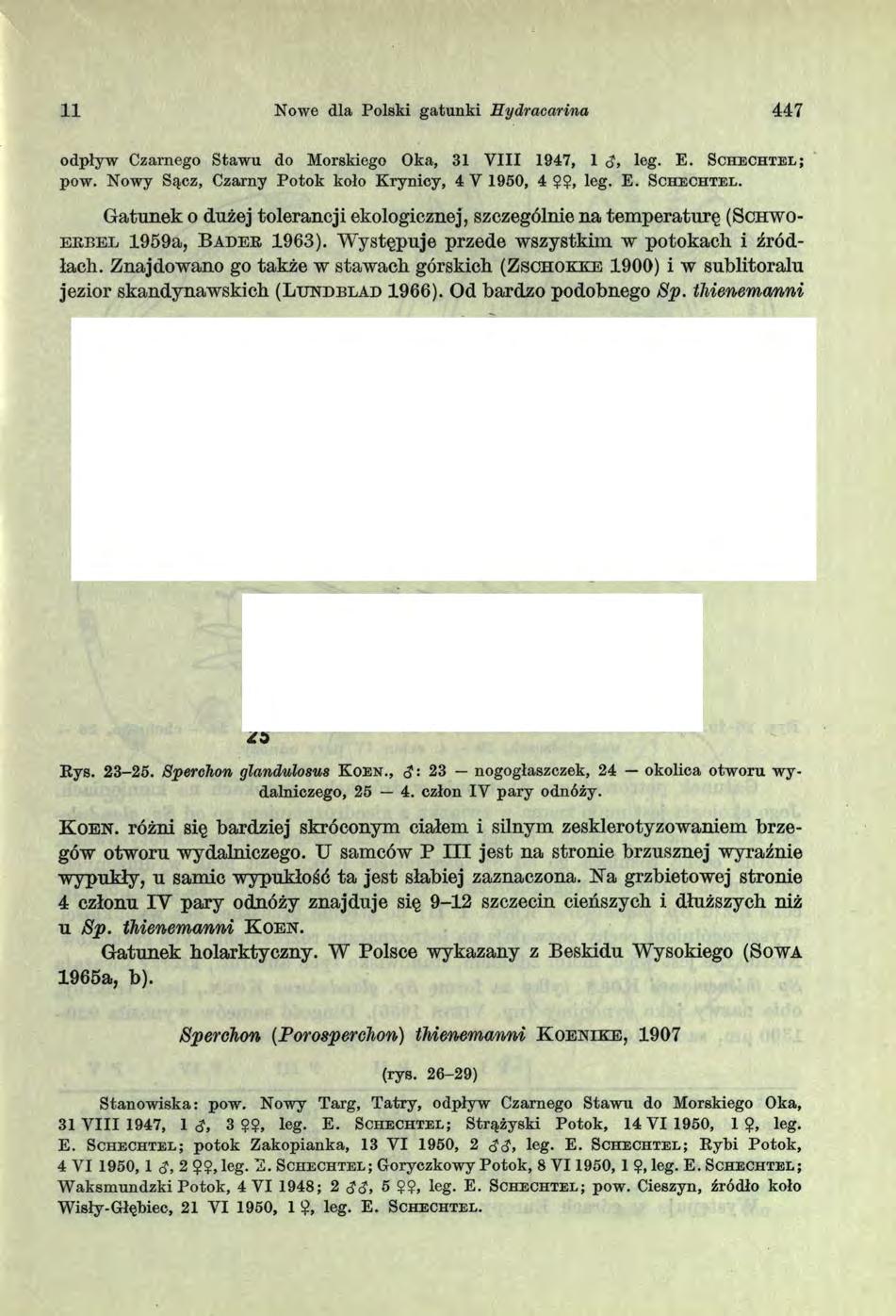 11 Nowe dla Polski gatunki Hydracarina 447 odpływ Czarnego Stawu do Morskiego Oka, 31 V III 1947, 1 d> leg. E. S c h e c h t e l 