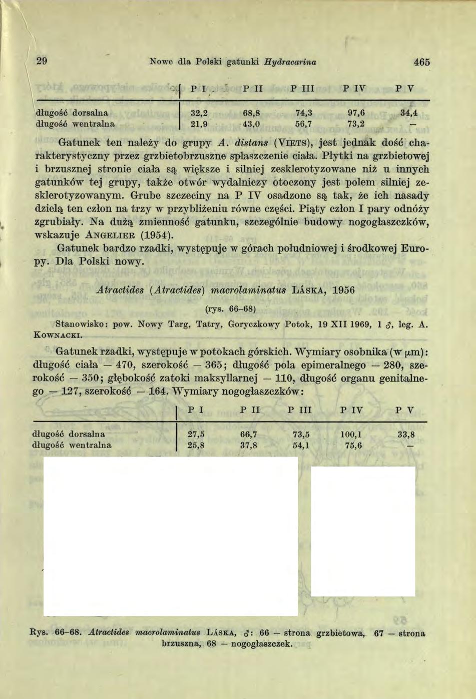 29 Nowe dla Polski gatunki Hydracarina 46 5 P I P II P I II P IV P V długość dorsalna 32,2 68,8 74,3 97,6 34,4 długość w entralna 21,9 43,0 56,7 73,2 - Gatunek ten należy do grupy A.