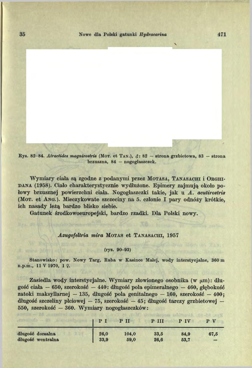 35 Nowe dla Polski gatunki Hydracarina 471 V Rys. 82-84. Atractides magnirostris (Mot. e t T an.), <J: 82 strona grzbietow a, 83 strona brzuszna, 84 nogogłaszczek.