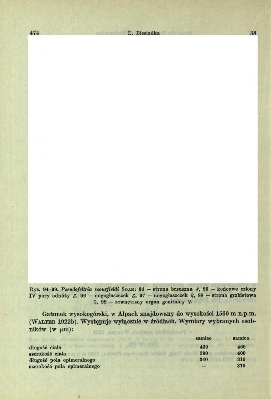 474 E. Biesiadka 38 Rys. 94-99. Pseudofeltria scourfieldi So a s : 94 stro n a brzuszna <?