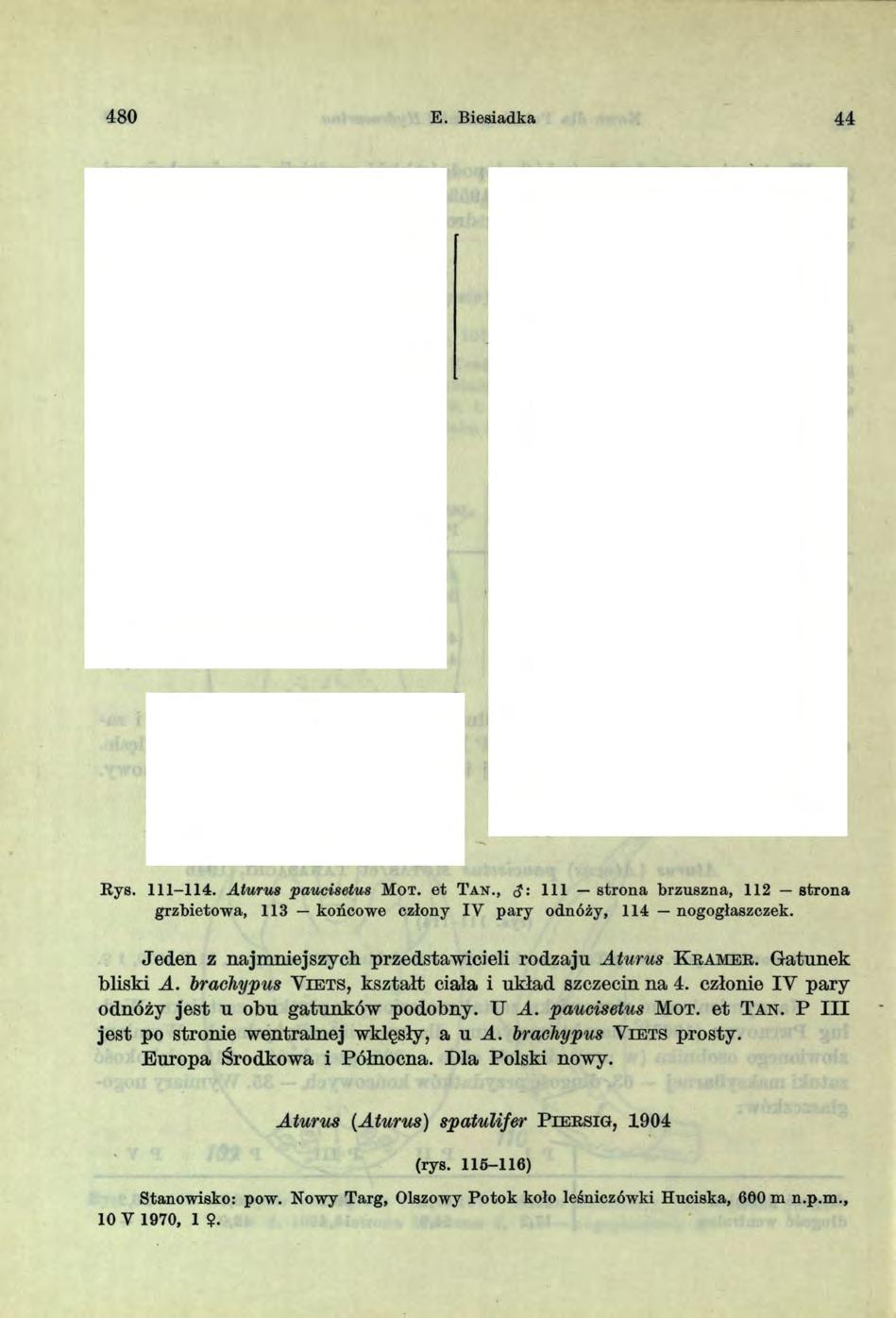 480 E. Biesiadka 44 111 113 Rys. 111-114. A łurus paucisetus M o t. et T a n.