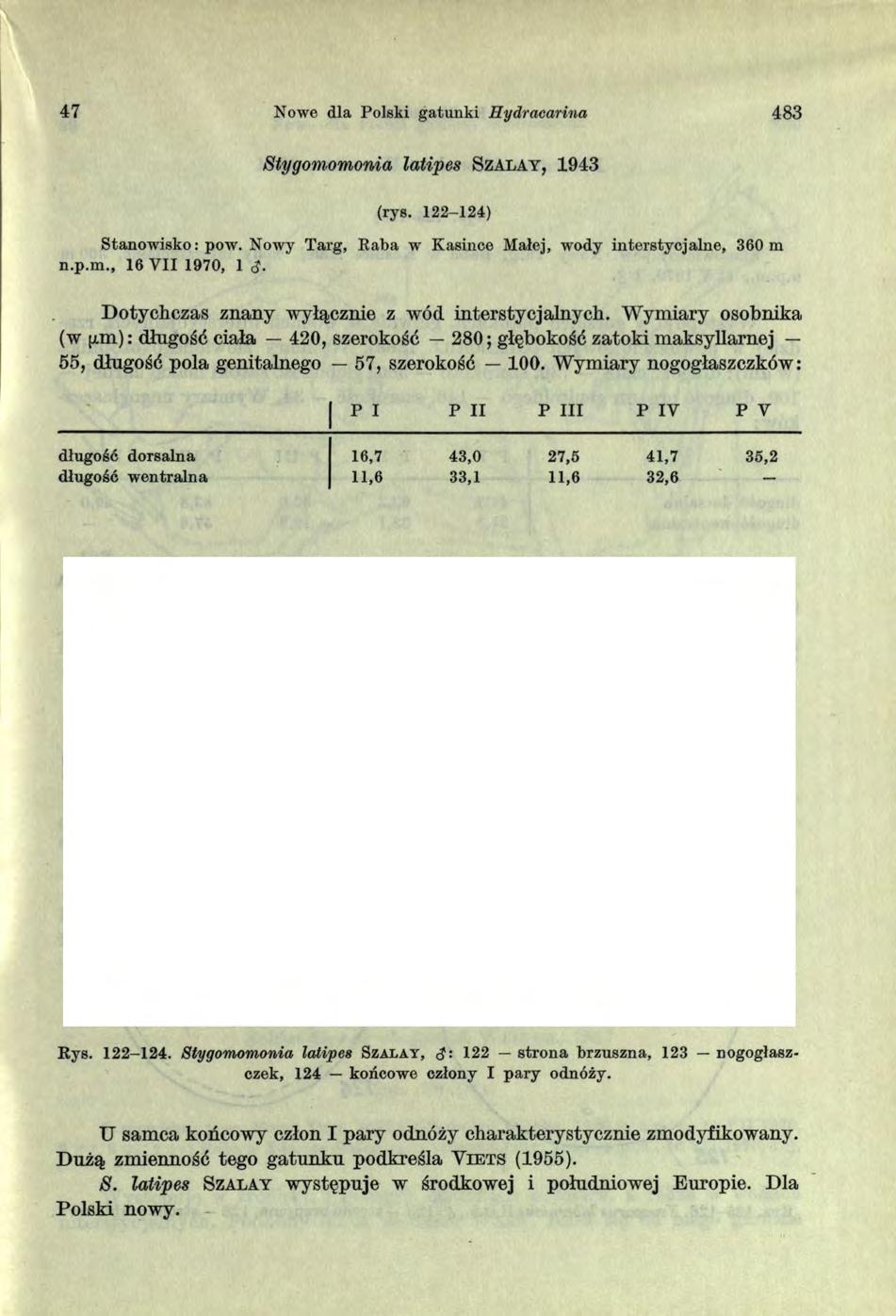 47 Nowe dla Polski gatunki Hydracarina 483 Stygomomonia lałipes S z a l a y, 1943 (rys. 122-124) Stanow isko: pow. Nowy Targ, R aba w Kasince Małej, wody interstycjalne, 360 m n.p.m., 16 V II 1970, 1 <J- Dotychczas znany wyłącznie z wód interstycjalnych.