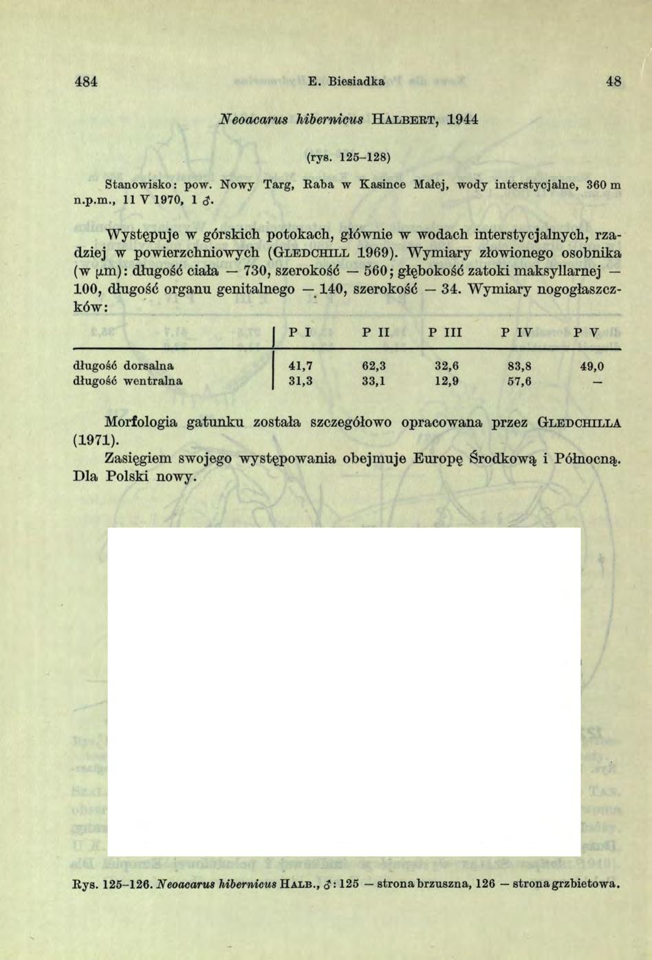 484 E. Biesiadka 48 Neoacarus Mbernicus IIa l b e r t, 1944 (rys. 125-128) Stanow isko: pow. Nowy Targ, B aba w K asince Małej, wody interstycjalne, 360 m n.p.m., 11 Y 1970, 1 <J.