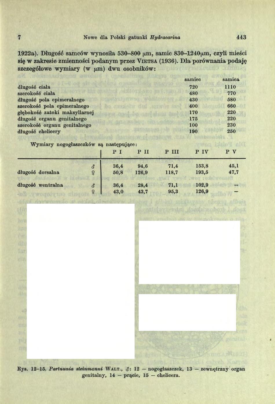 7 Nowe dla Polski gatunki Hydracarina 443 1922a).