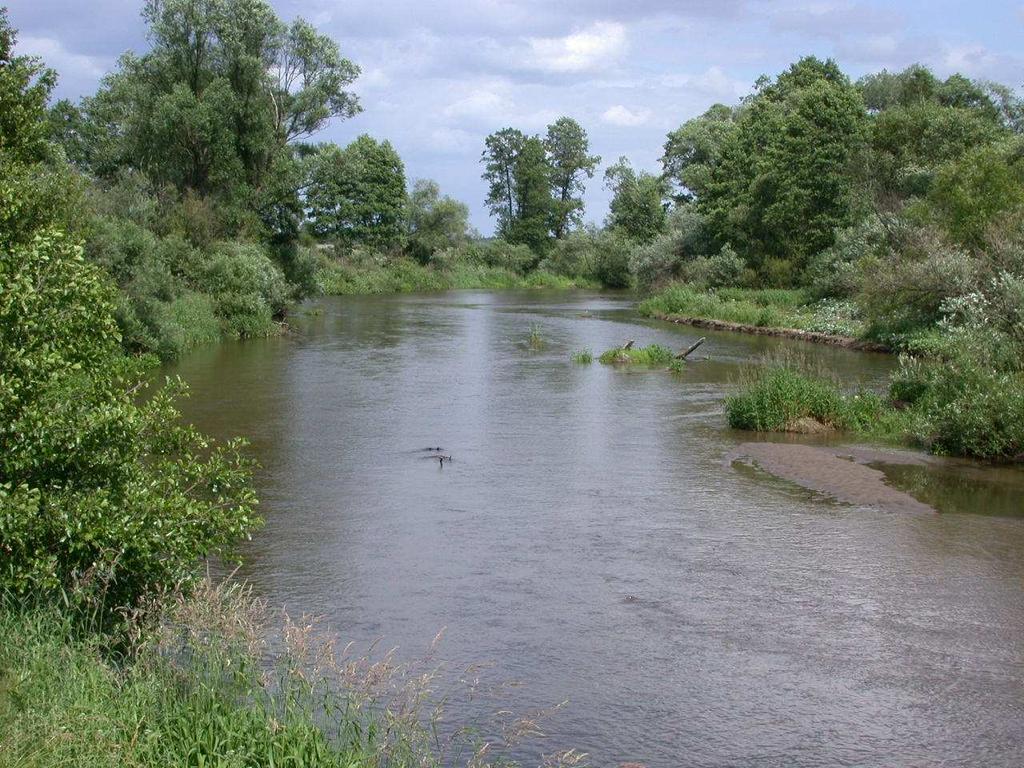 piaszczystym Słomianka