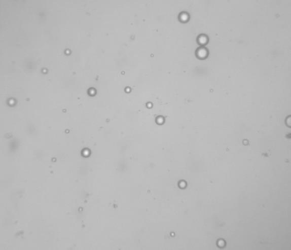 Obraz mikroskopowy: A dyspersji wodnej Winacetu o stężeniu 1 g/l (średnia wielkość cząstek 729 nm); B wodnej emulsji DEHP o stężeniu,1 g/l (średnia wielkość cząstek 816 nm) Fig. 1. Microscopic image of: A water dispersion of Winacet, 1 g/l (average particle size 729 nm); B water emulsion of DEHP,.