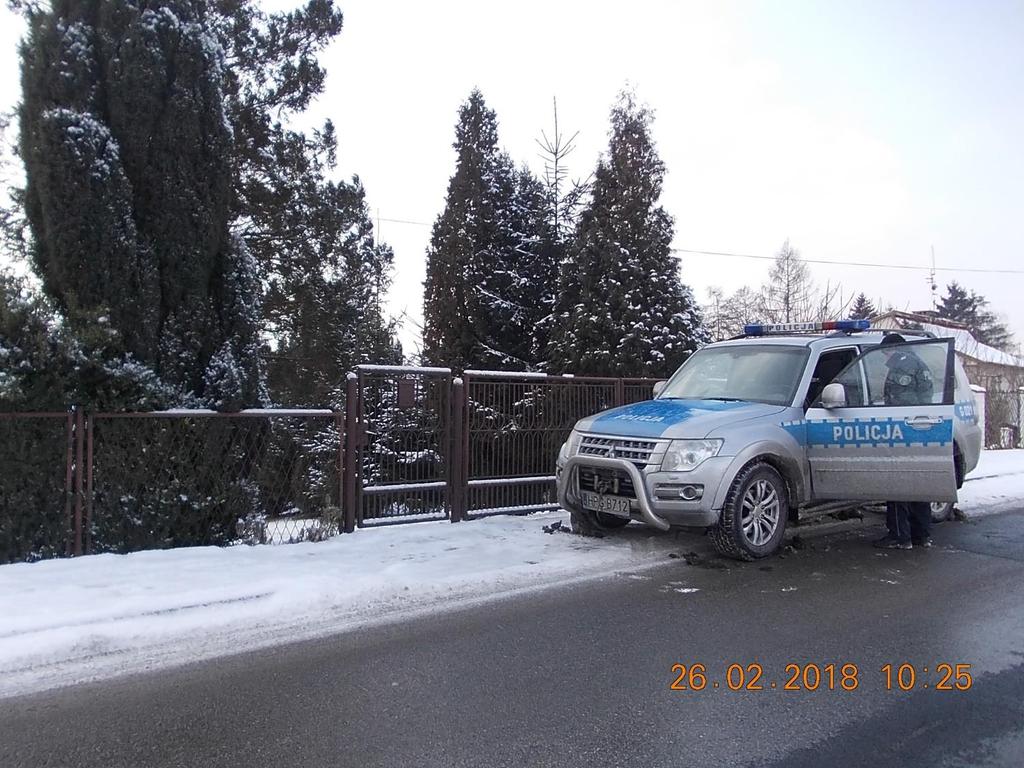 Różne modele kontroli Wady i zalety Straż miejska / Straż gminna Policja / Straż miejska + Urząd Gminy Urząd Gminy