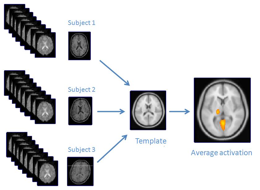 processing danych fmri: 2.