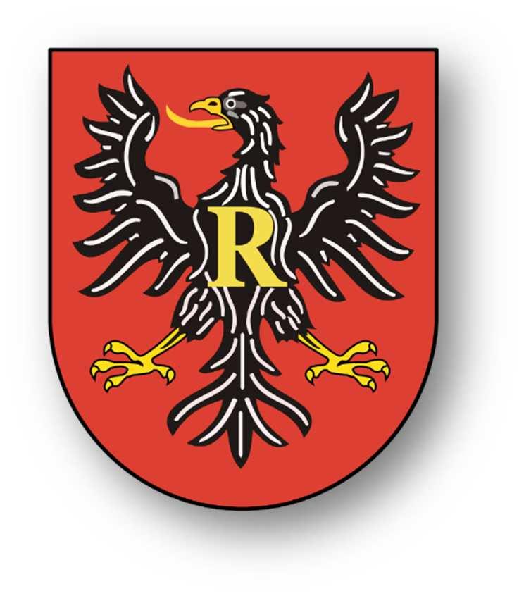RAPORT Z REALIZACJI PROGRAMU
