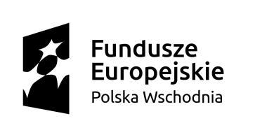 e-bilans Zbigniew Burchan ul. Nowogrodzka 56A 00-695 Warszawa +48 609 140 007/burchan@e-bilans.pl NIP: 8651373255, REGON: 830292282.., dnia. ZAPYTANIE OFERTOWE NR 1/2016 z dnia 09.05.2016r.