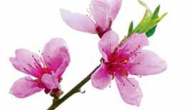 90 389 carrefour@galluppolska.pl pon. - pt. w godz. 8. - 19., sob.