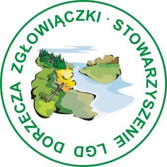 załącznik nr 1 do uchwały nr 2 Zarządu Stowarzyszenia Lokalna Grupa Działania Dorzecza Zgłowiączki z dnia 21.05.