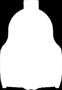 2262 Żelazko