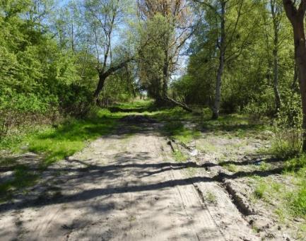 metrów od linii brzegowej ok.
