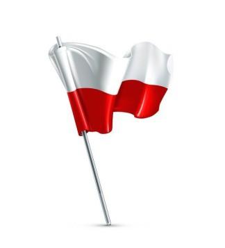 Tytuł pracy: ŚWIATŁA, ŚWIATŁA I PRACY DLA UBOGIEGO KRAJU I LUDU