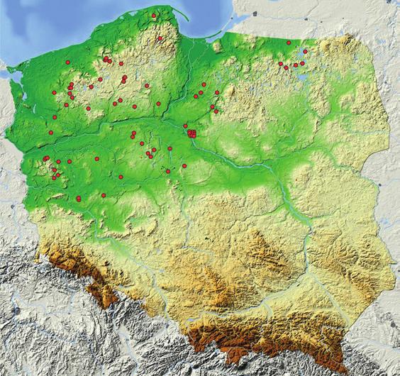 Niestety, propozycje przygotowanej wówczas karty dostosowanej do klasycznej karty AZP nie spotkały się z szerszym oddźwiękiem i projekt ten nie został wdrożony w życie.