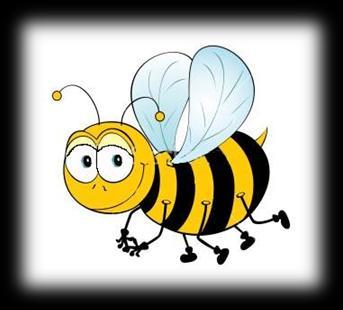 pszczółki -druhny