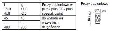 pod łbem lub w kombinacji obu tych wersji (patrz załącznik 9.1).