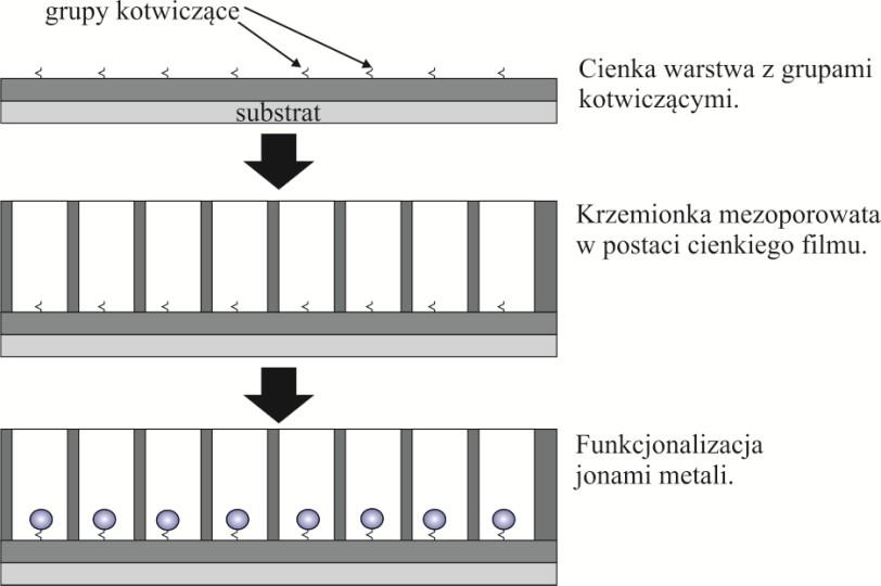 Aktywacja matryc krzemionkowych pojedynczymi jonami i