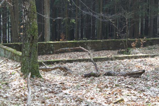 Mimo upływu lat wyraźnie znaczą się fundamenty dawnych baraków Z tych prowadzonych przez lata pomiarów radiestezyjnych wynika, że w obrębie Gór Stołowych może być ponad 30 kilometrów podziemnych