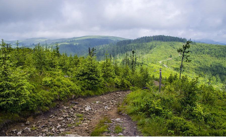 WYCIECZKA GÓRSKA 1dzień (sobota) GÓRSKIE KLIMATY z PTTK BYTOM Murońka, Magura Radziechowska 10.08.2019 Wyjazd z Bytomia o godz. 7:30, zbiórka na Dworcu autobusowym przy ulicy Kolejowej 20 o godz.