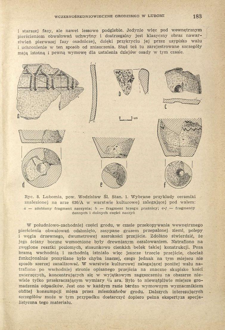 WCZESNOŚREDNIOWIECZNE GRODZISKO W LUBOMI 183 i starszej fazy, ale nawet lessowe podglebie.