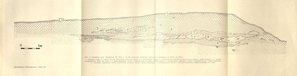 Ryc. 5. Lubomia, pow. Wodzisław ŚI. Stan 1.