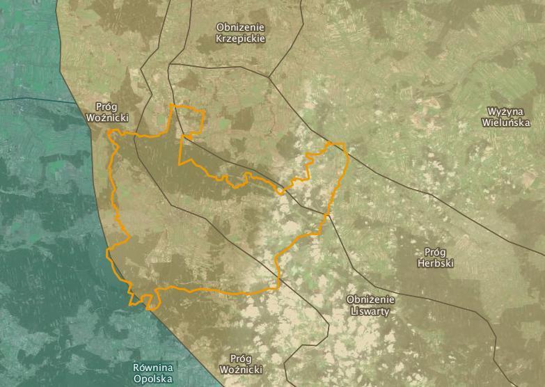 Wyżyna Śląska oraz Wyżyna Woźnicko-Wieluńska, na obszarze mezoregionów: Równina Opolska, Próg Woźnicki, Obniżenie Liswarty, Próg Herbski i Wyżyna wieluńska.. Rysunek 2.
