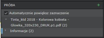 poszczególnych stron dokumentu, po wcześniejszym zgłoszeniu ich do akceptacji przez pracownika Drukarni