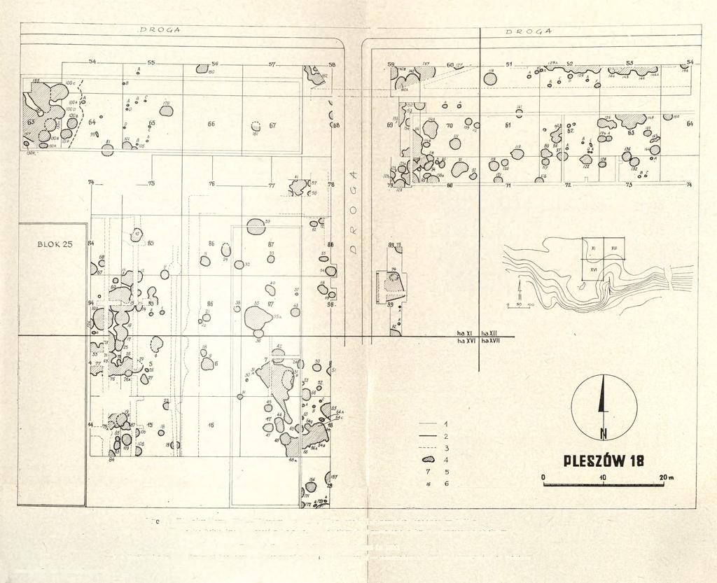 Sprawozdania Archeologiczne, t. XXVIII Ryc. 1.