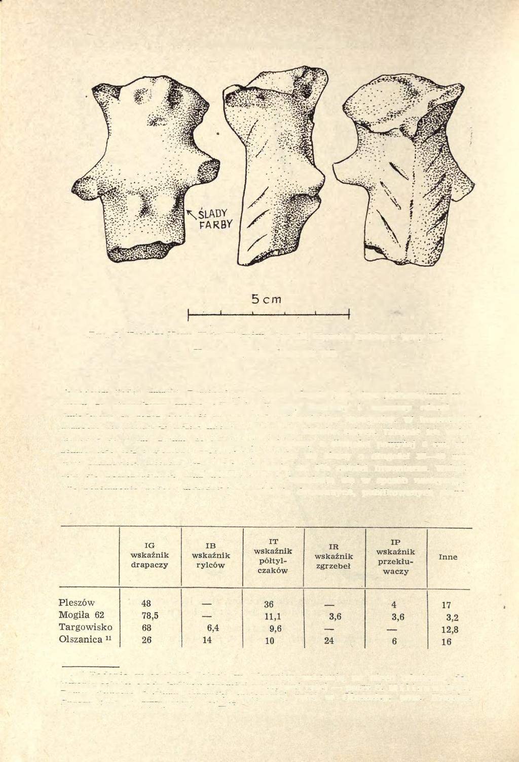 246 MAŁGORZATA KACZANOWSKA Ryc. 3. Kraków-Nowa Huta-Pleszów, stan. 18. Figurka ludzka z jamy 79B Human figurine from pit 79B koladowy (jeden wyrób).