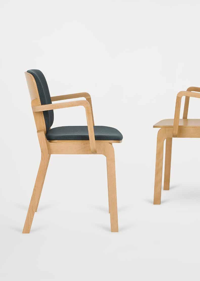 209 DESIGN HIP