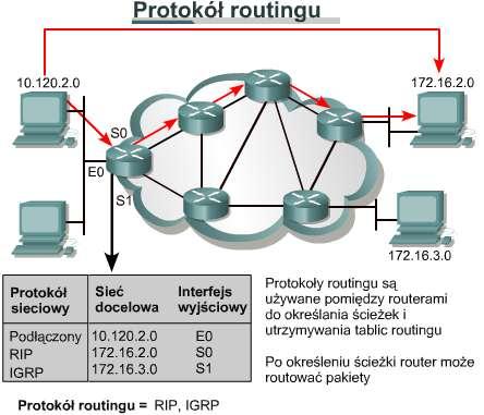 Przykładami protokołów routowanych są: protokół IPX (ang. Internetwork Packet Exchange) stosowany w rozwiązaniach firmy Novell oraz protokół IP (ang. Internet Protocol).