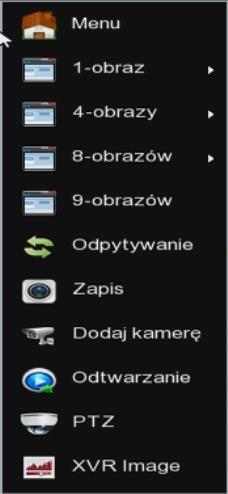 Statusy kanałów są wyświetlane w postaci ikon: ikona dyskietki włączone nagrywanie danego kanału ikona głośnika włączone nagrywanie audio przekreślona ikona głośnika nagrywanie audio wyłączone ikona