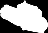 gazowana 0,7 l 1