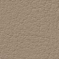 Softline