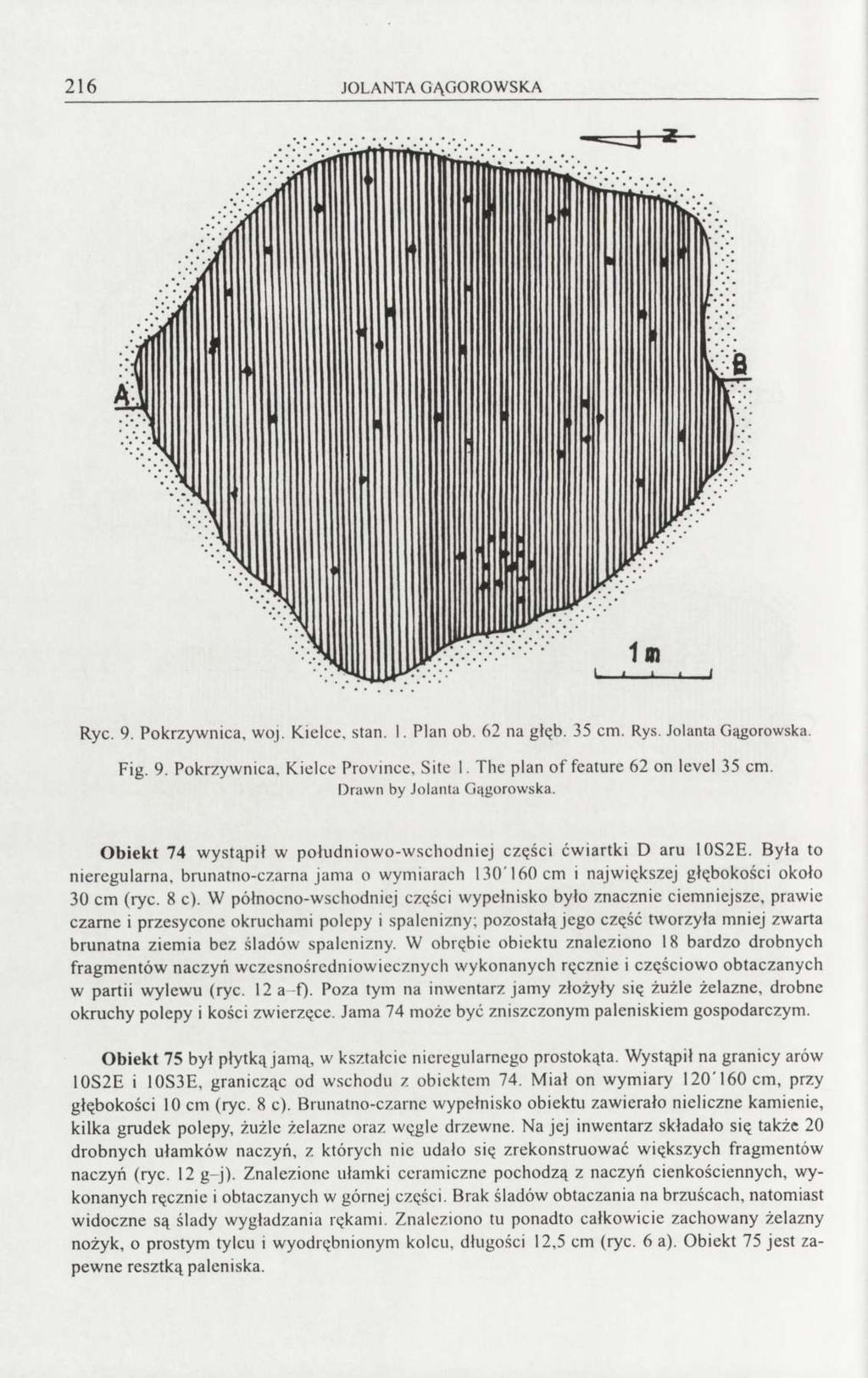 216 JOLANTA GĄGOROWSKA Ryc. 9. Pokrzywnica, woj. Kielce, stan. I. Plan ob. 62 na głąb. 35 cm. Rys. Jolanta Gągorowska. Fig. 9. Pokrzywnica, Kielce Province, Site 1.