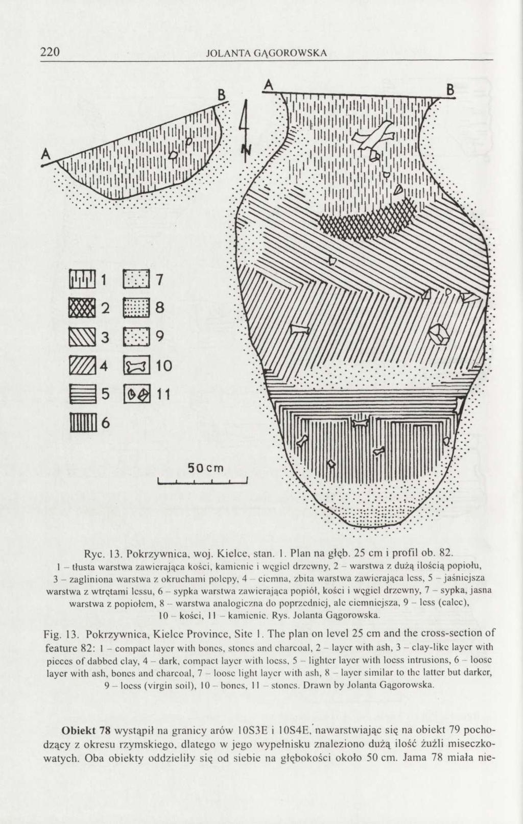 220 JOLANTA GĄGOROWSKA Ryc. 13. Pokrzywnica, woj. Kielce, stan. 1. Plan na głęb. 25 cm i profil ob. 82.