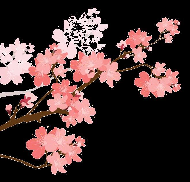 Spotkanie z weteranami misji w Libanie 27.03.2019r.