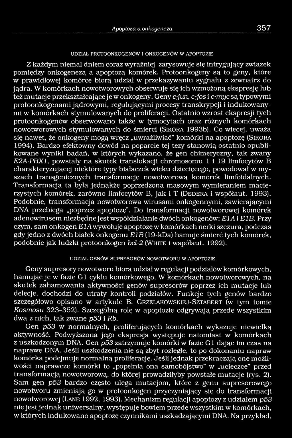 W komórkach nowotworowych obserwuje się ich wzmożoną ekspresję lub też mutacje przekształcające je w onkogeny.
