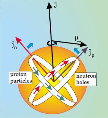 Pasma rotacyjne w jądrach prawie sferycznych 1.