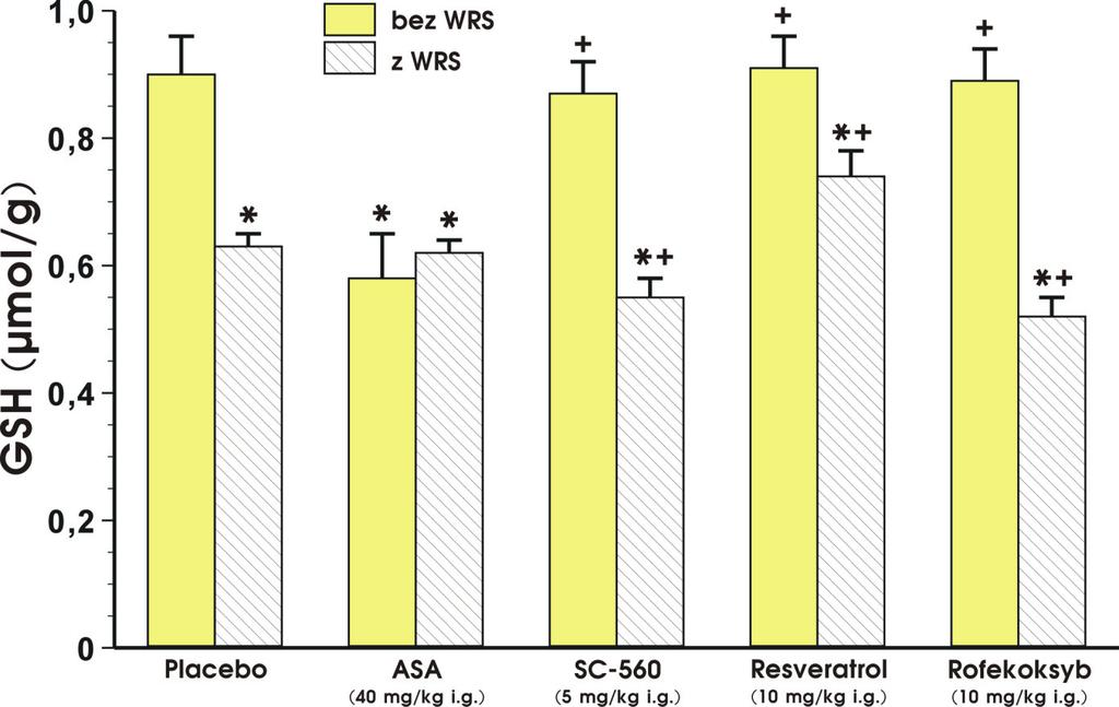 Gwiazdką (*) oznaczono statystycznie istotne zmiany w porównaniu do grupy placebo bez WRS. Krzyżyk (+) oznacza statystycznie znamienne różnice w porównaniu z grupą placebo + WRS.