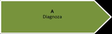 Diagnoza stanu przedsiębiorstwa powinna zostać przeprowadzona w ścisłej współpracy Doradcy z Przedsiębiorcą i jego pracownikami, w szczególności z kluczową kadrą Przedsiębiorcy.